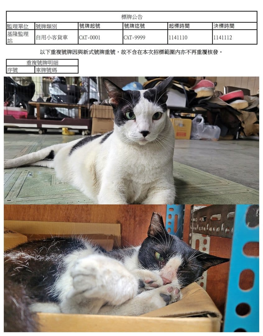 CAT 車牌出現了！！！
