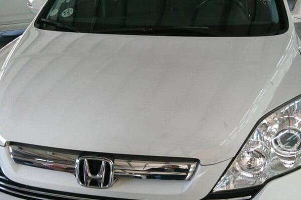 新車入庫速報