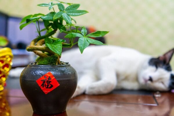 難能可貴的年輕人！！！