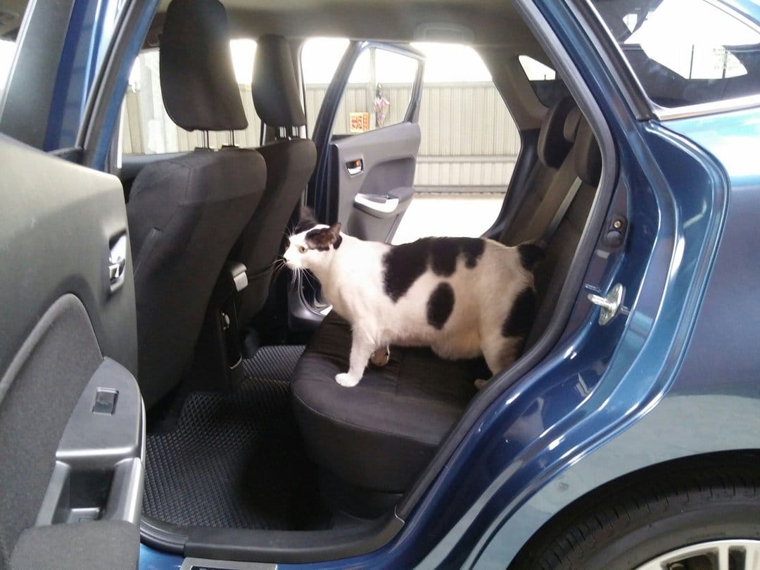 Suzuki Baleno 收訂！