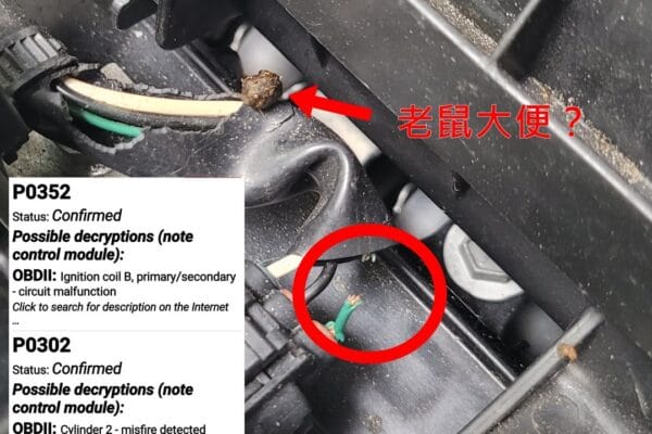 考耳異常！？ 這次小編預判錯誤！