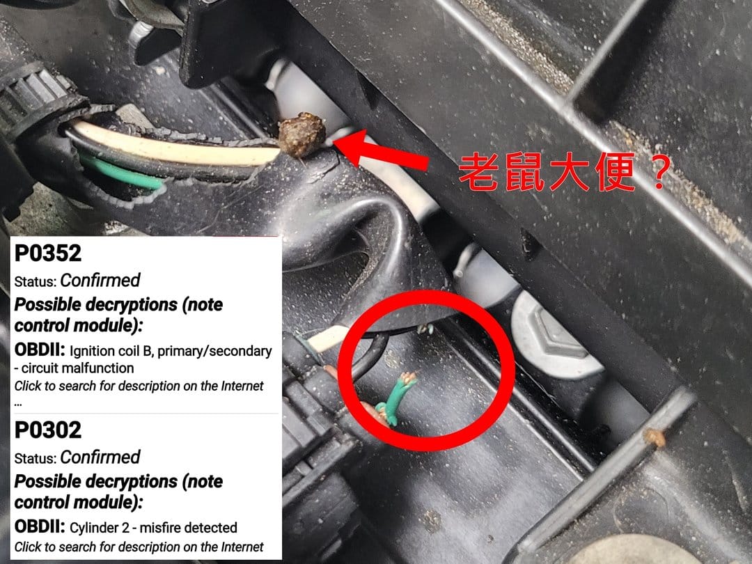 考耳異常！？ 這次小編預判錯誤！
