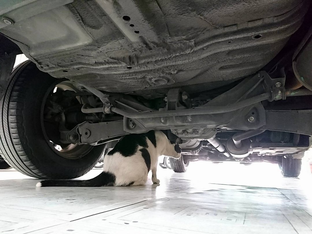 新車入庫速報！