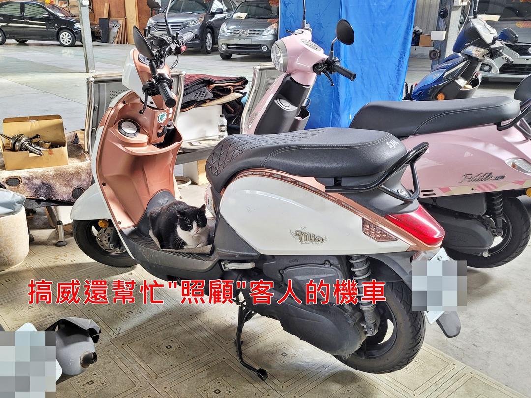 洗車就…客人自己洗！