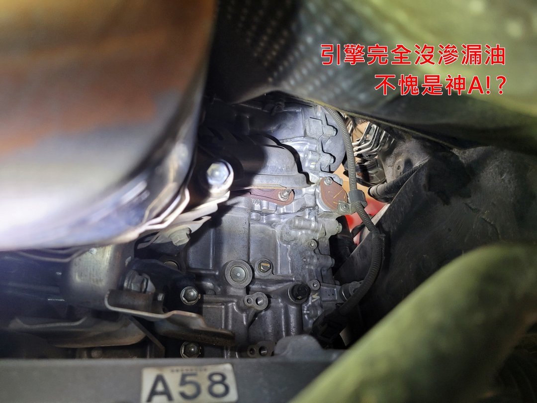 洗車就…客人自己洗！