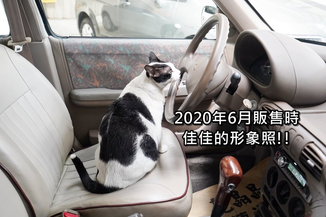 善的循環！