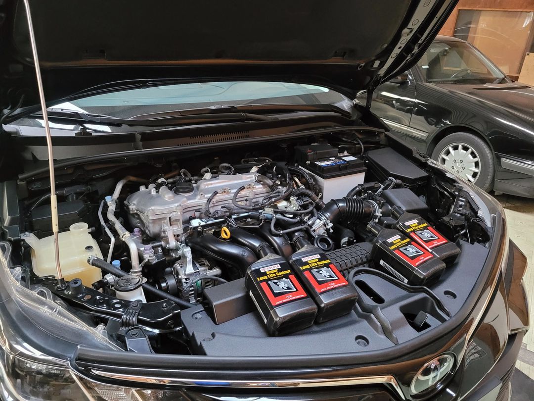19′ 黑色 Altis 交車前準備